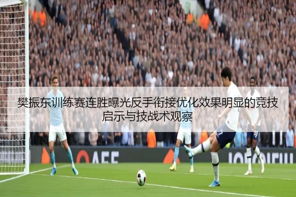 樊振东训练赛连胜曝光反手衔接优化效果明显的竞技启示与技战术观察